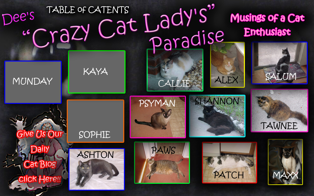 Dees Crazy Cat Paradise.. a cat friendly place